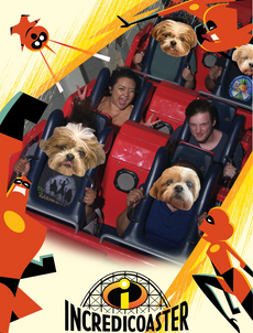 Frank and Allison riding the Incredicoaster with Rascal